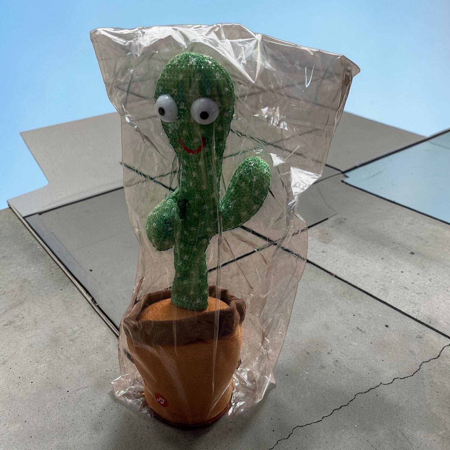 KAKTUS TAŃCZY-ŚPIEWA-POWTARZA I GRA MUZYKĘ. - obrazek 2