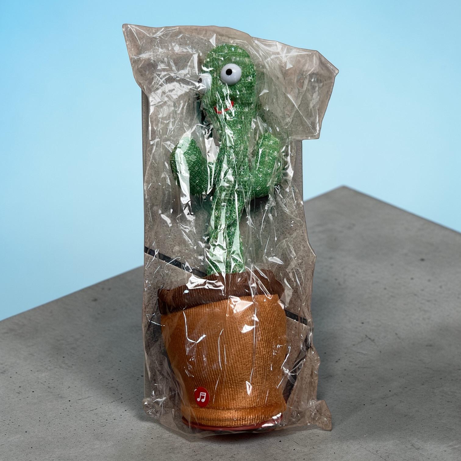 KAKTUS TAŃCZY-ŚPIEWA-POWTARZA I GRA MUZYKĘ.