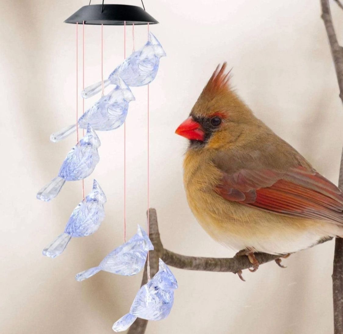 PTAK SOLARNE DO OGRODOWE.