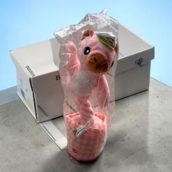 KAKTUS TAŃCZY-ŚPIEWA-POWTARZA I GRA MUZYKĘ.