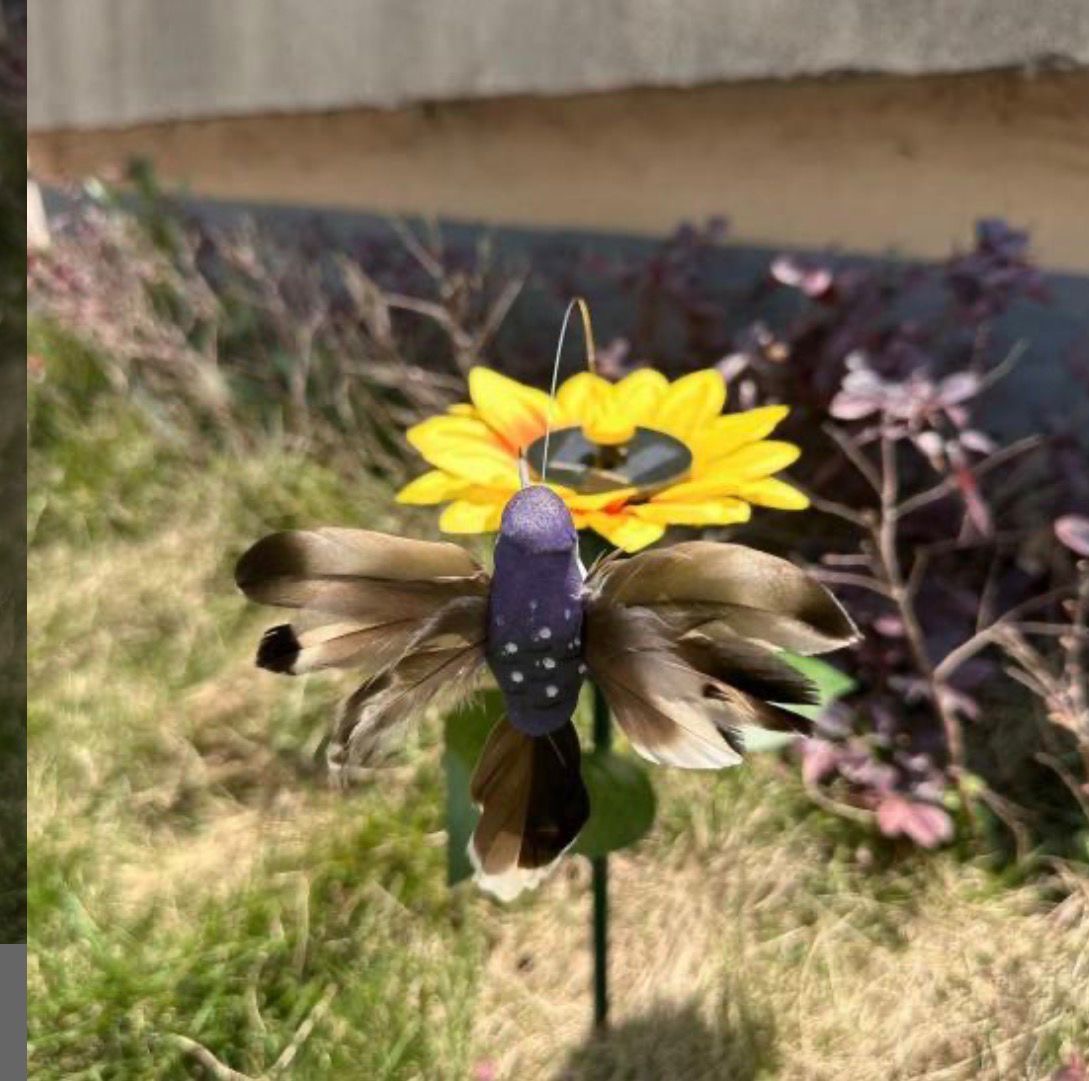 KOLIBER LATAJĄCE Z SŁONECZNIK SOLARNY i BATERIA.