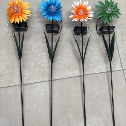 KWIATY SOLARNY DO OGRODU.