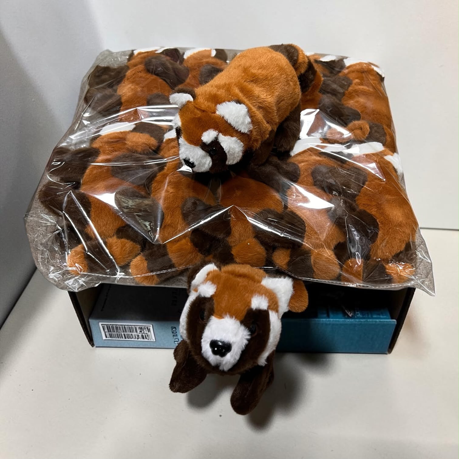 PANDA CZERWONA NA BATERIE CHODZĄCY SZCZEKAJĄCY.