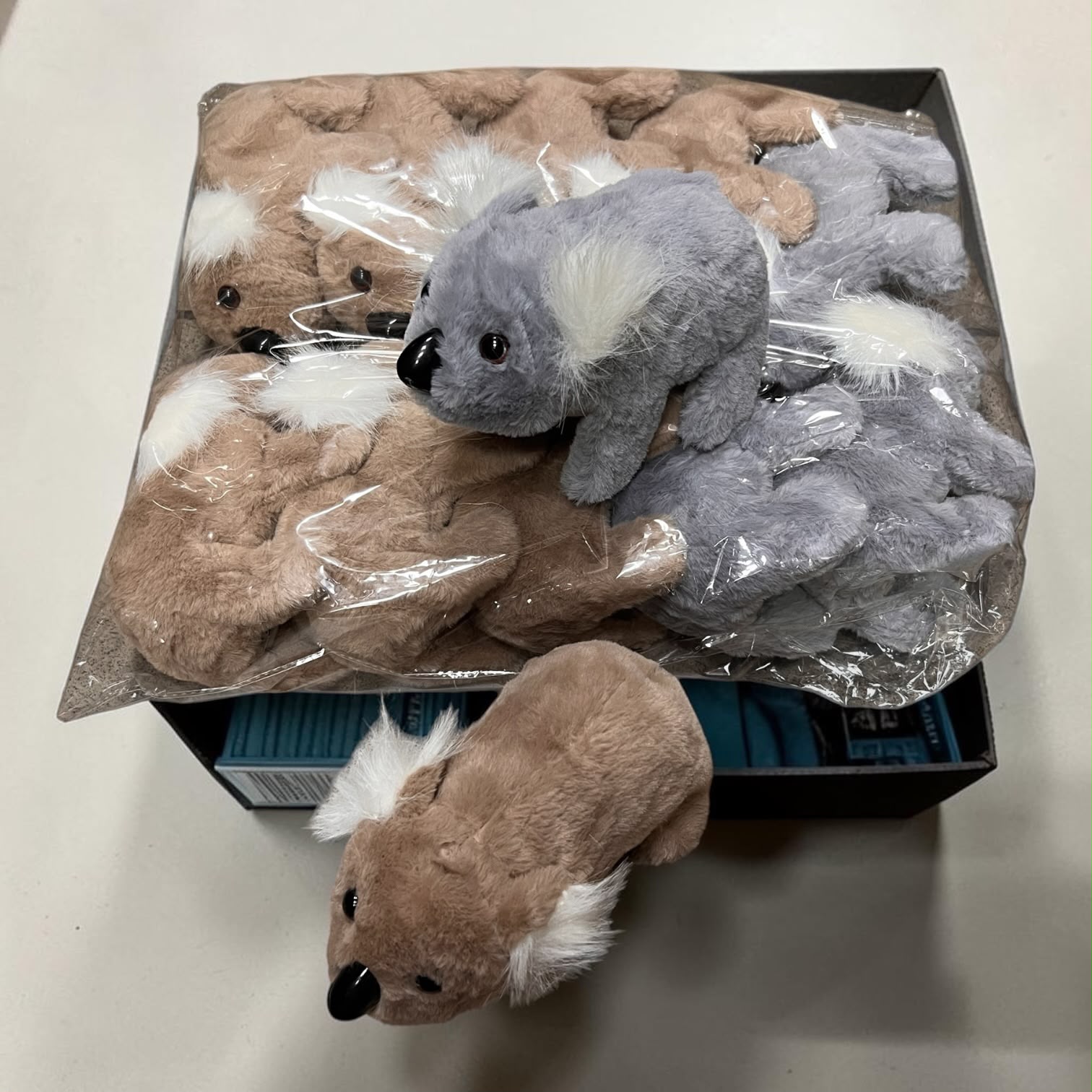 MIŚ KOALA NA BATERIE CHODZĄCY SZCZEKAJĄCY.